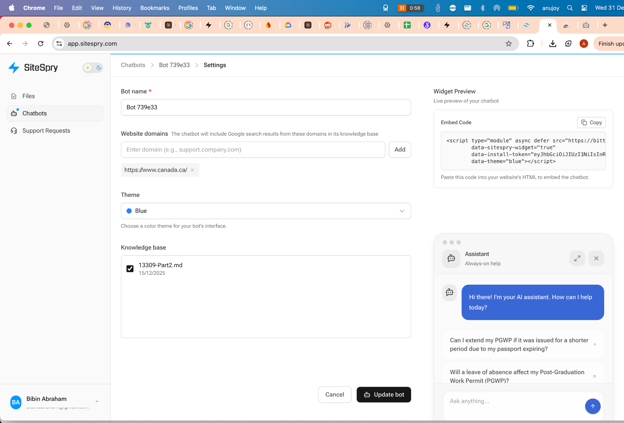 Bot settings with widget preview